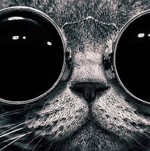 Meet your Posher, Deanna